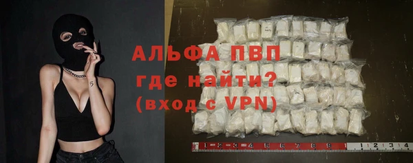 сатива Арсеньев