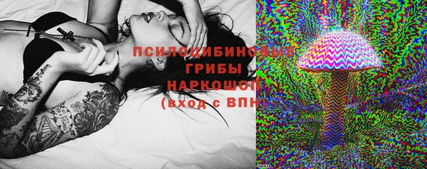 твердый Алексеевка