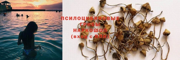 твердый Алексеевка