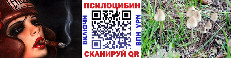 Псилоцибиновые грибы Magic Shrooms  Жуковка 